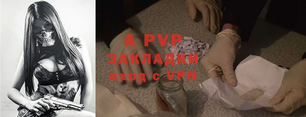 эйфоретик Касимов